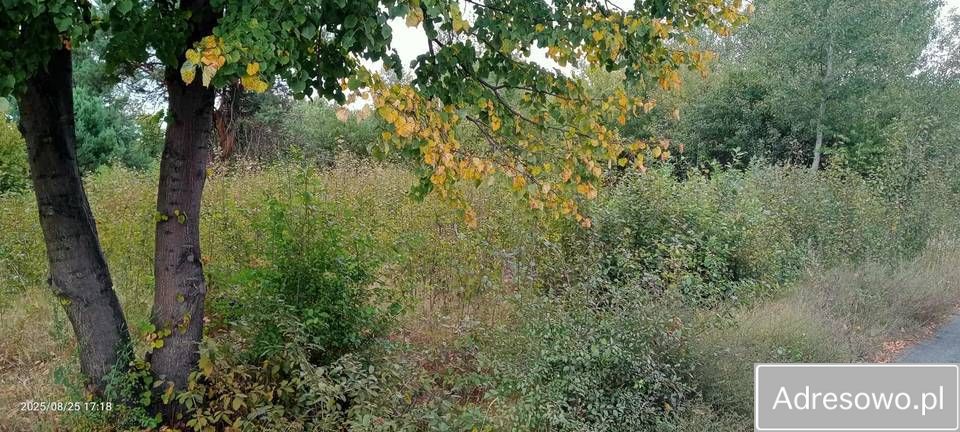 Działka rolna Szydłowiec, ul. Piaskowa. Zdjęcie 3