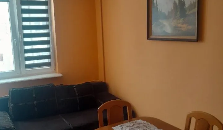 Mieszkanie 1-pokojowe Waganiec, ul. Wspólna