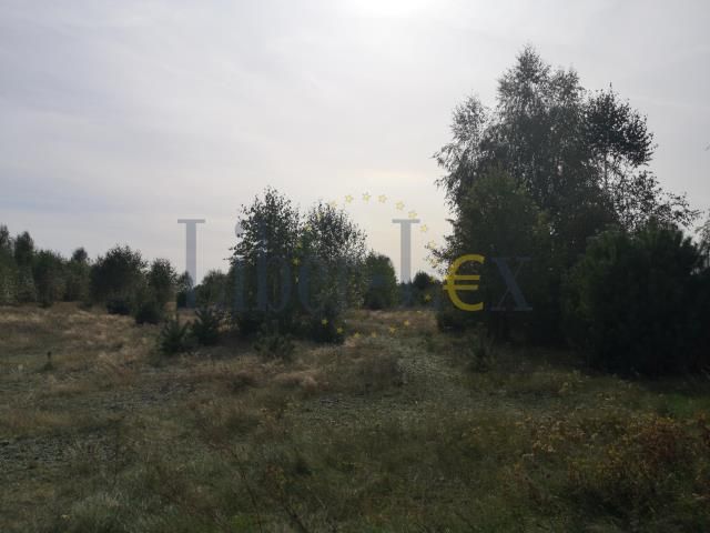 Działka rolna Szumlin. Zdjęcie 4