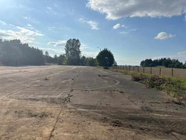 Lokal Przytuły-Las. Zdjęcie 2