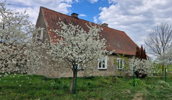dom wolnostojący, 4 pokoje Paluzy