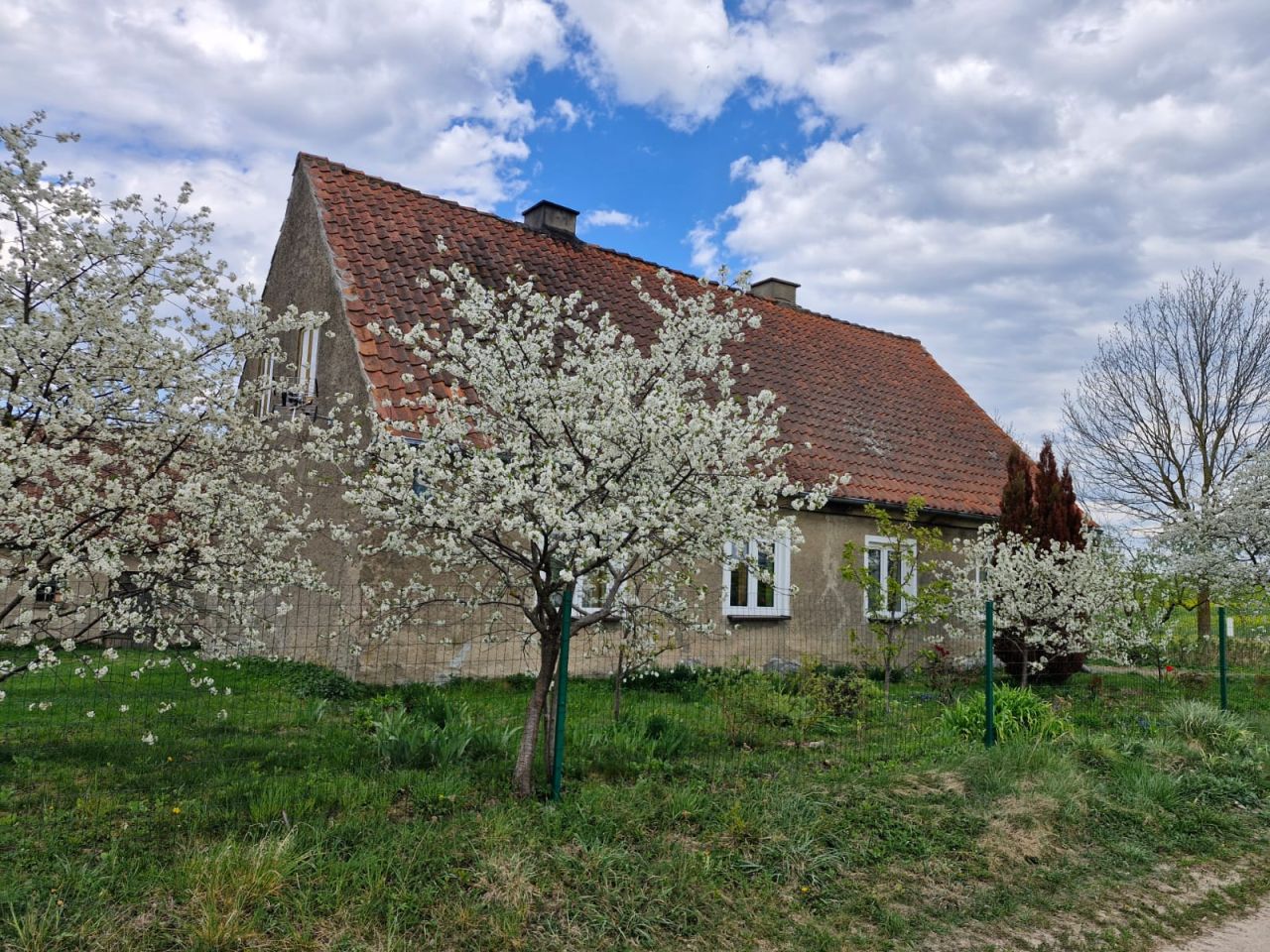 dom wolnostojący, 4 pokoje Paluzy. Zdjęcie 1