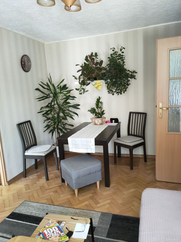 Mieszkanie 2-pokojowe Katowice Koszutka. Zdjęcie 4