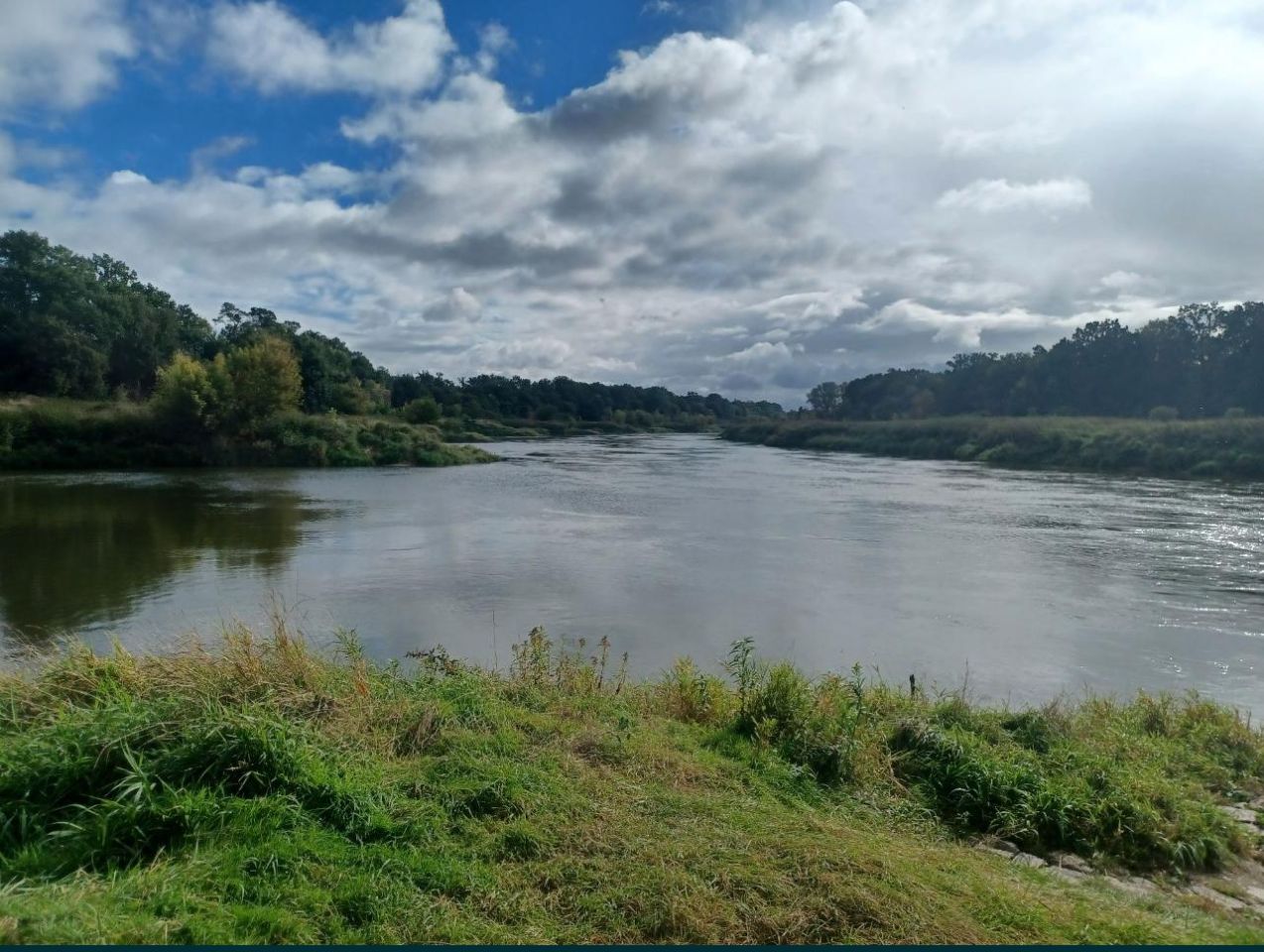Działka rolna Gliniany. Zdjęcie 3