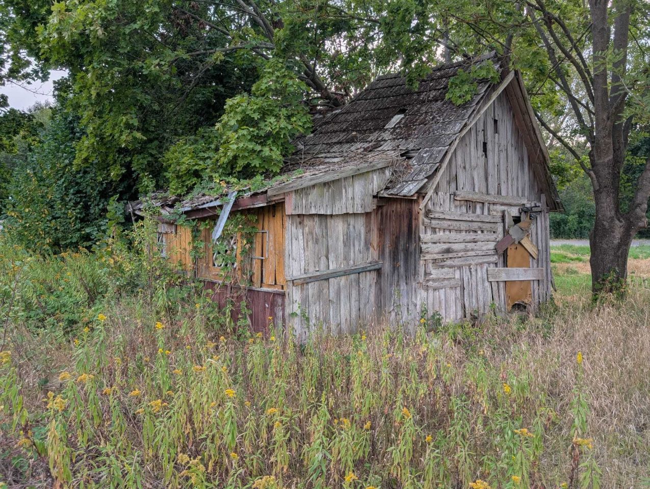 Działka budowlana Borów. Zdjęcie 3