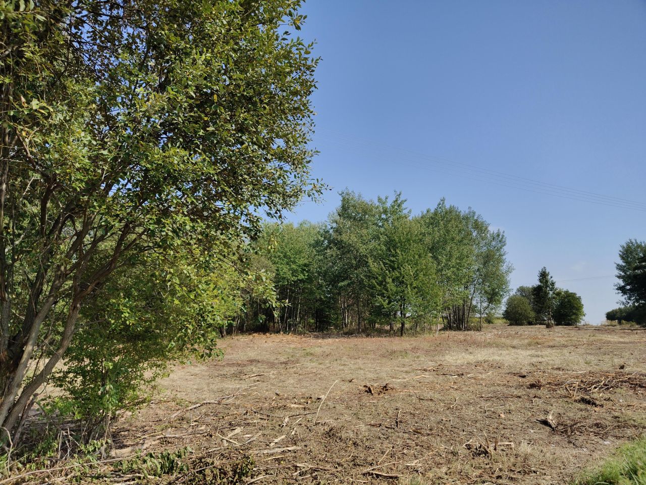 Działka budowlana Jabłonna Pierwsza. Zdjęcie 4