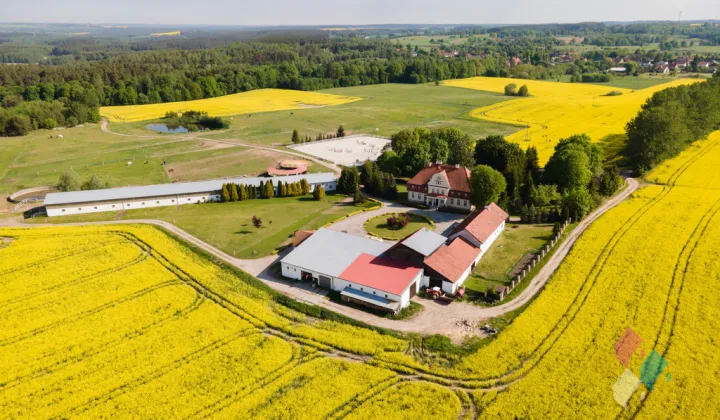 Nieruchomość komercyjna Spręcowo