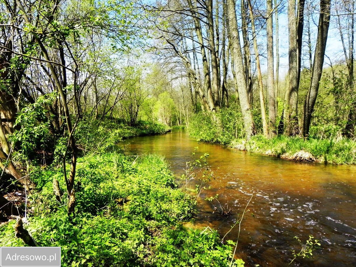 Działka rolno-budowlana Chrostkowo. Zdjęcie 7