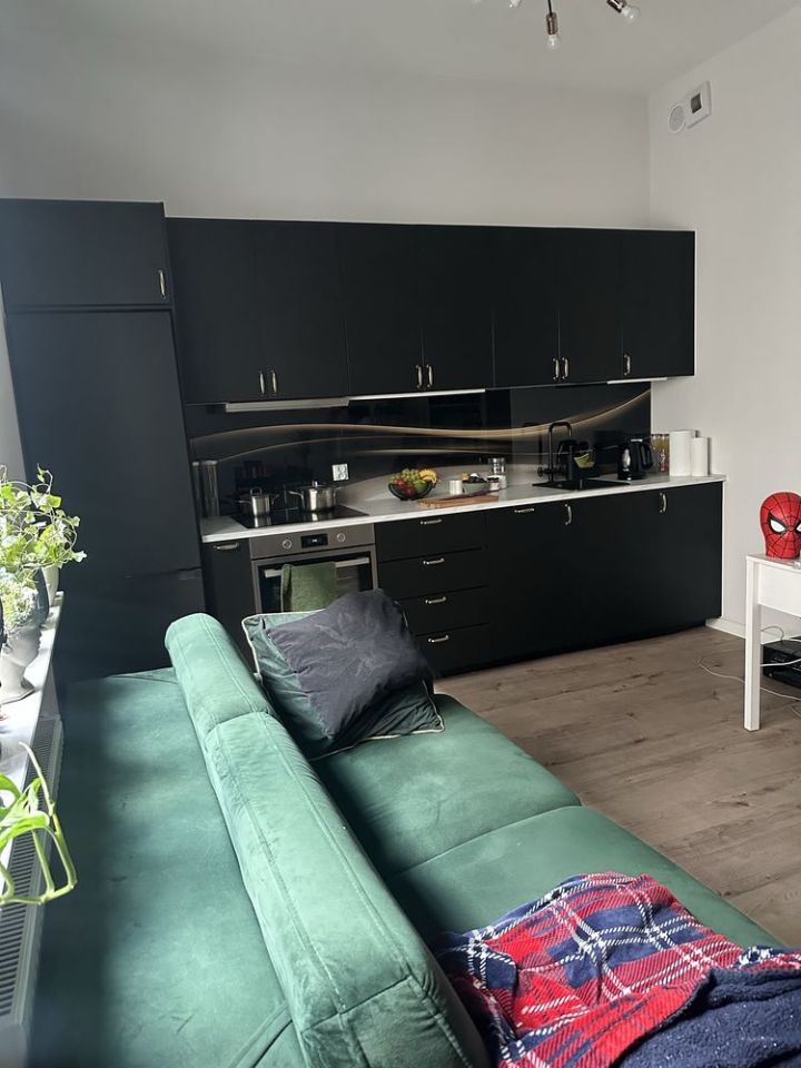 Mieszkanie 1-pokojowe Katowice Śródmieście. Zdjęcie 6