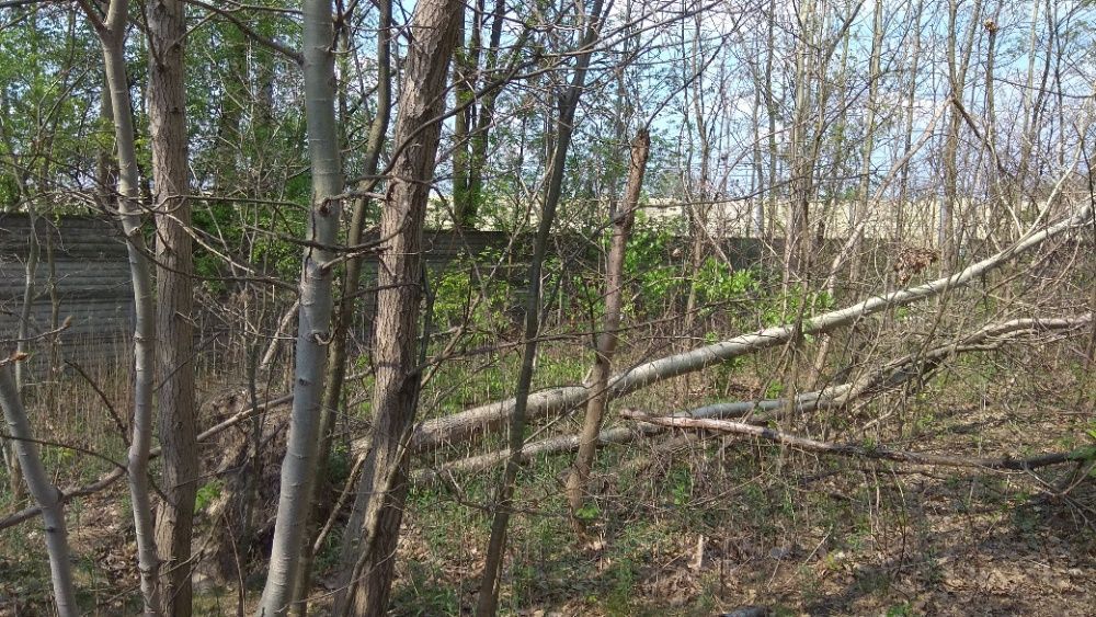 Działka budowlana Kobyłka, ul. Turowska. Zdjęcie 4