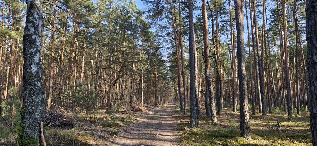 Działka rekreacyjna Osiedle Wilga. Zdjęcie 3