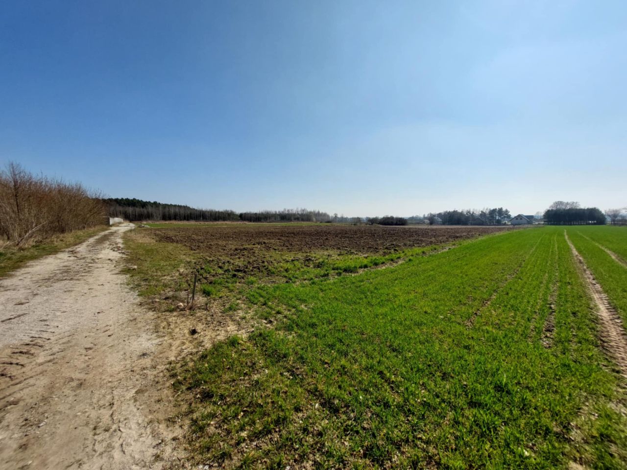 Działka budowlana Gola Wąsoska. Zdjęcie 3