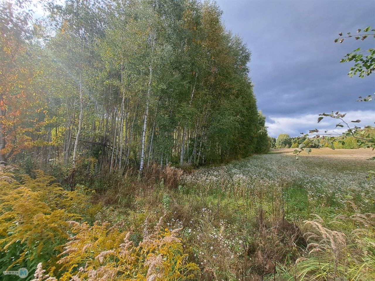 Działka siedliskowa Łagów. Zdjęcie 3