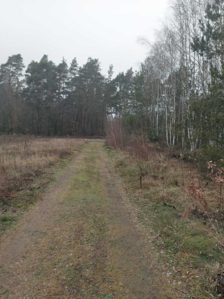 Działka budowlana Załuski. Zdjęcie 6