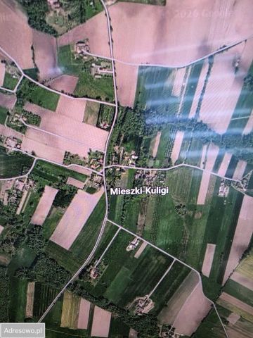 Działka rolna Mieszki-Kuligi. Zdjęcie 1