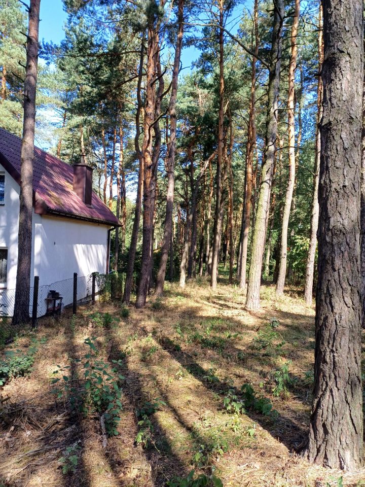 Działka budowlana Siamoszyce, ul. Edukacyjna. Zdjęcie 3