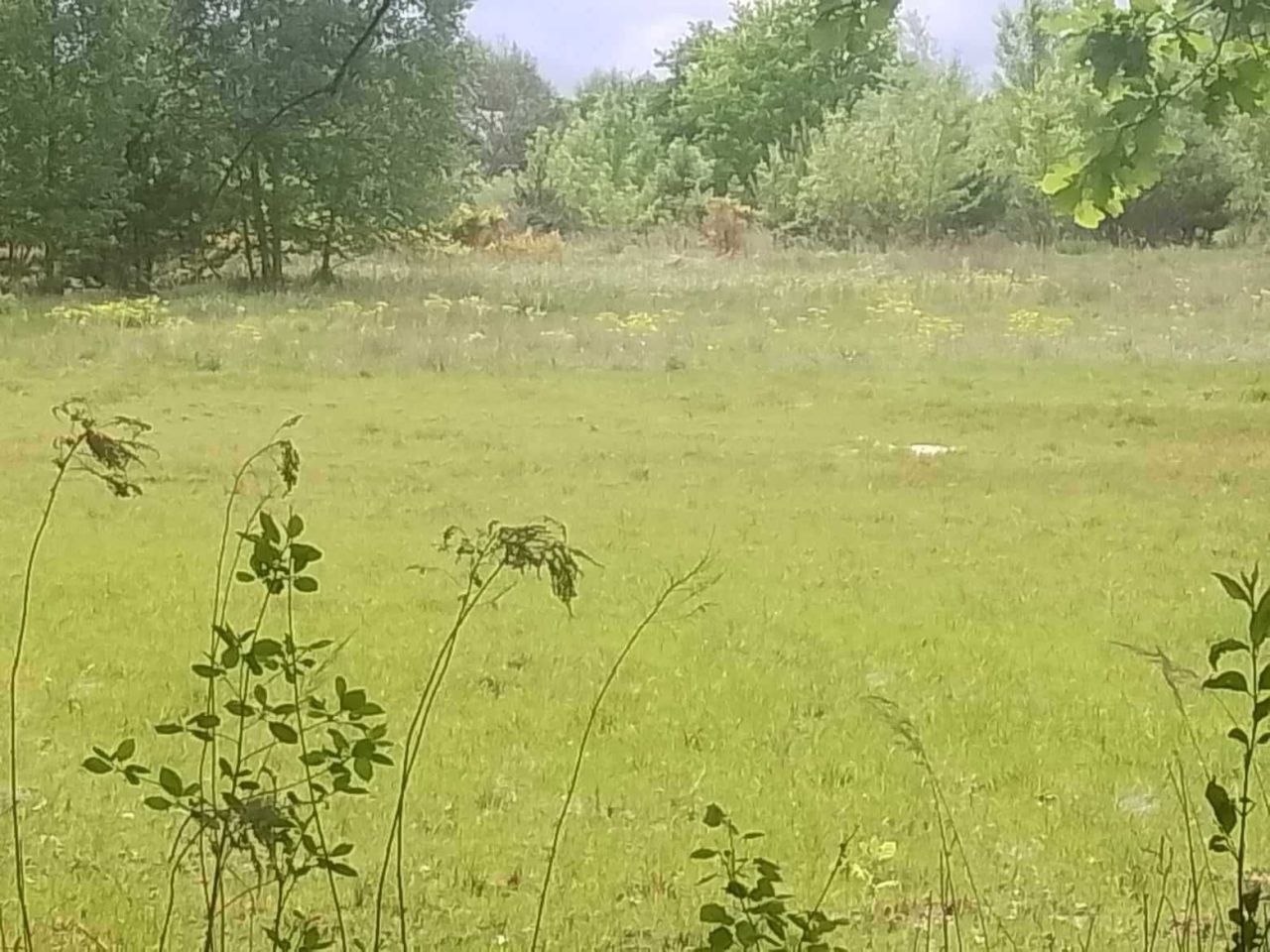 Działka budowlana Benenard. Zdjęcie 6