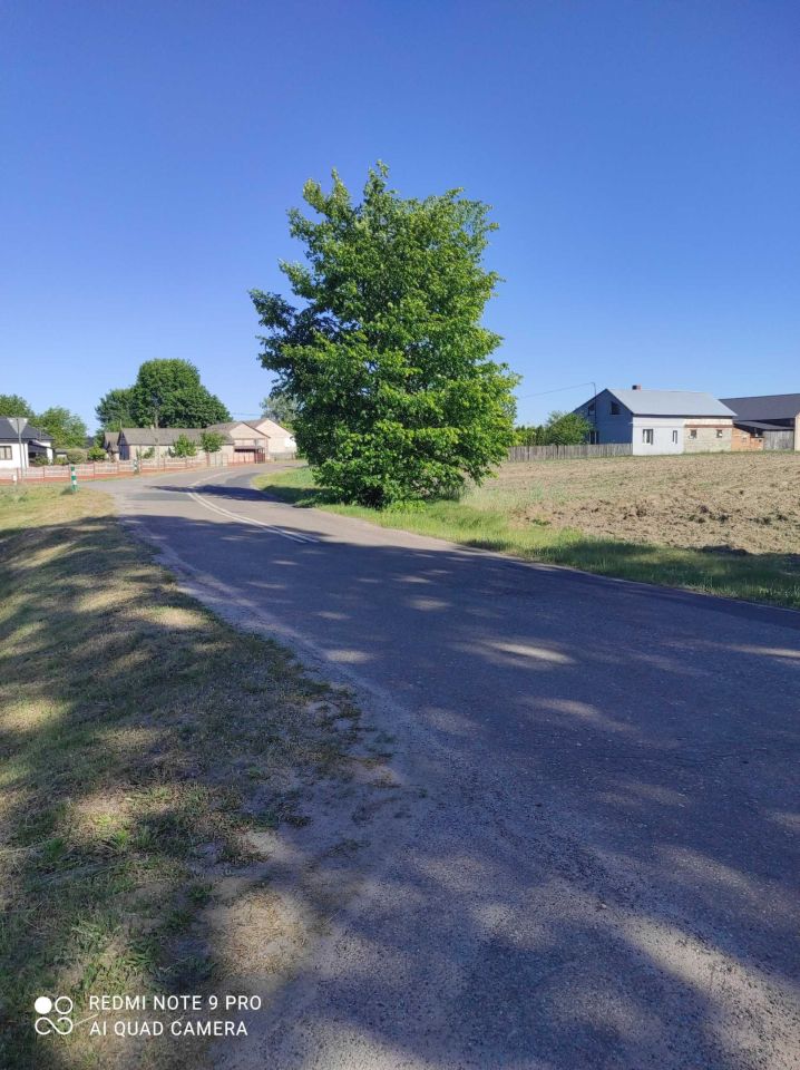 Działka rolno-budowlana Kamienowola. Zdjęcie 4