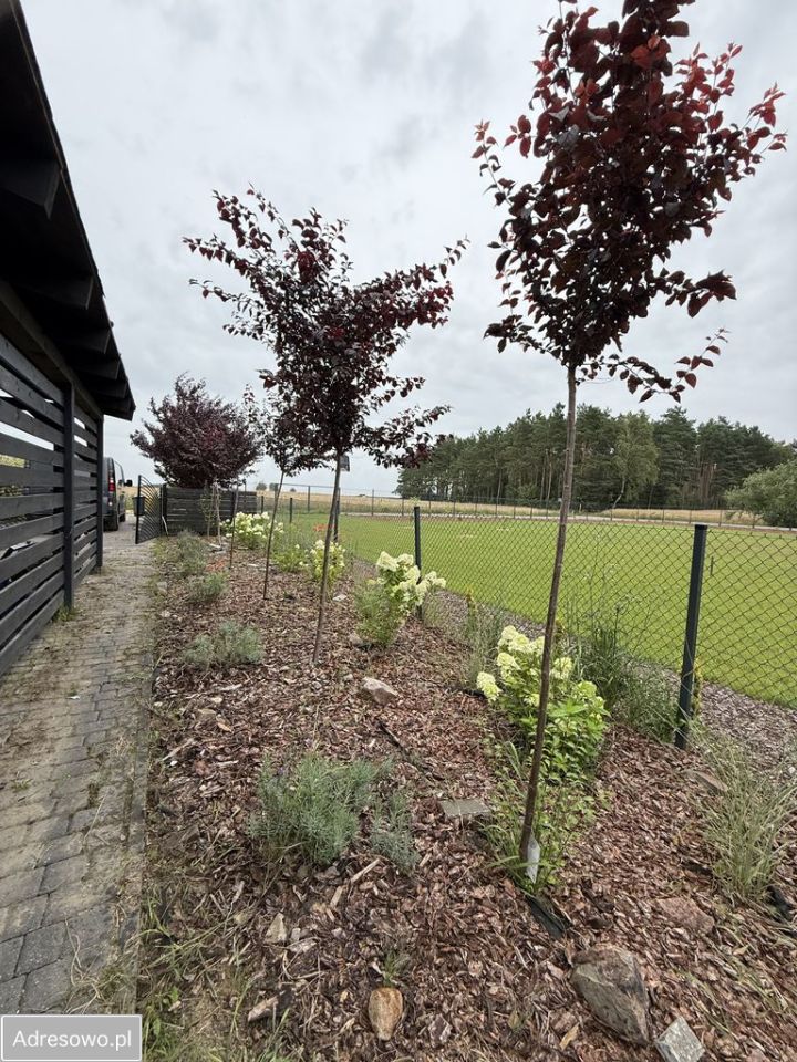 dom wolnostojący, 6 pokoi Chojniczki. Zdjęcie 15