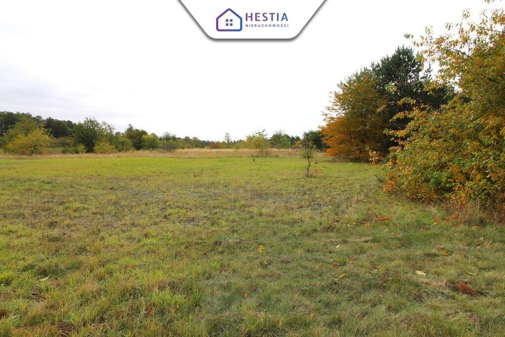 Działka rolna Jęczydół. Zdjęcie 3