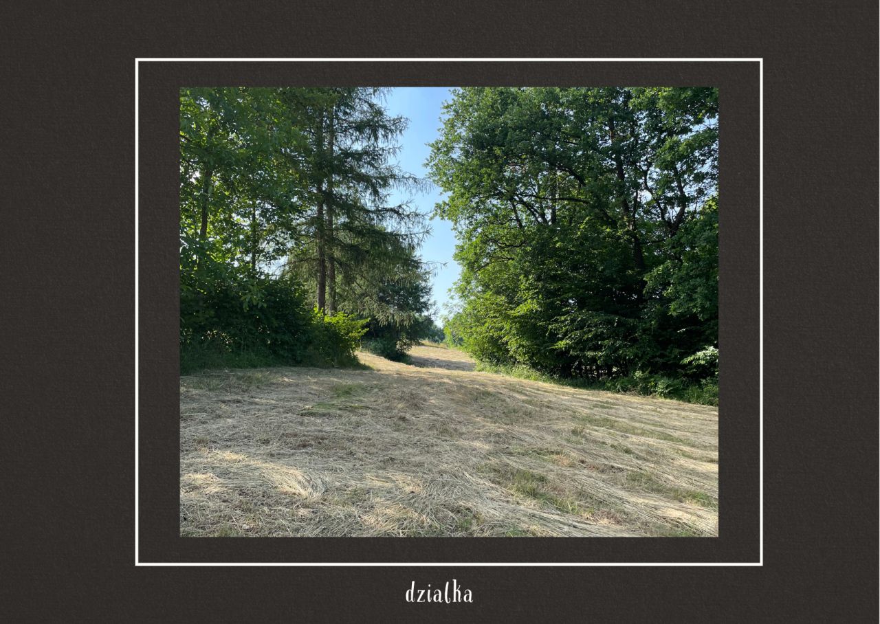 Działka rolno-budowlana Szymbark. Zdjęcie 9