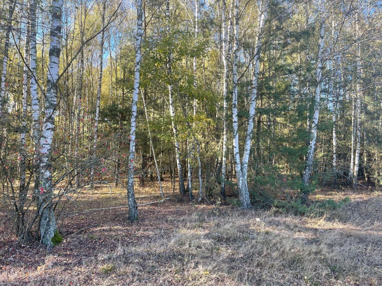 Działka budowlana Żabieniec. Zdjęcie 5