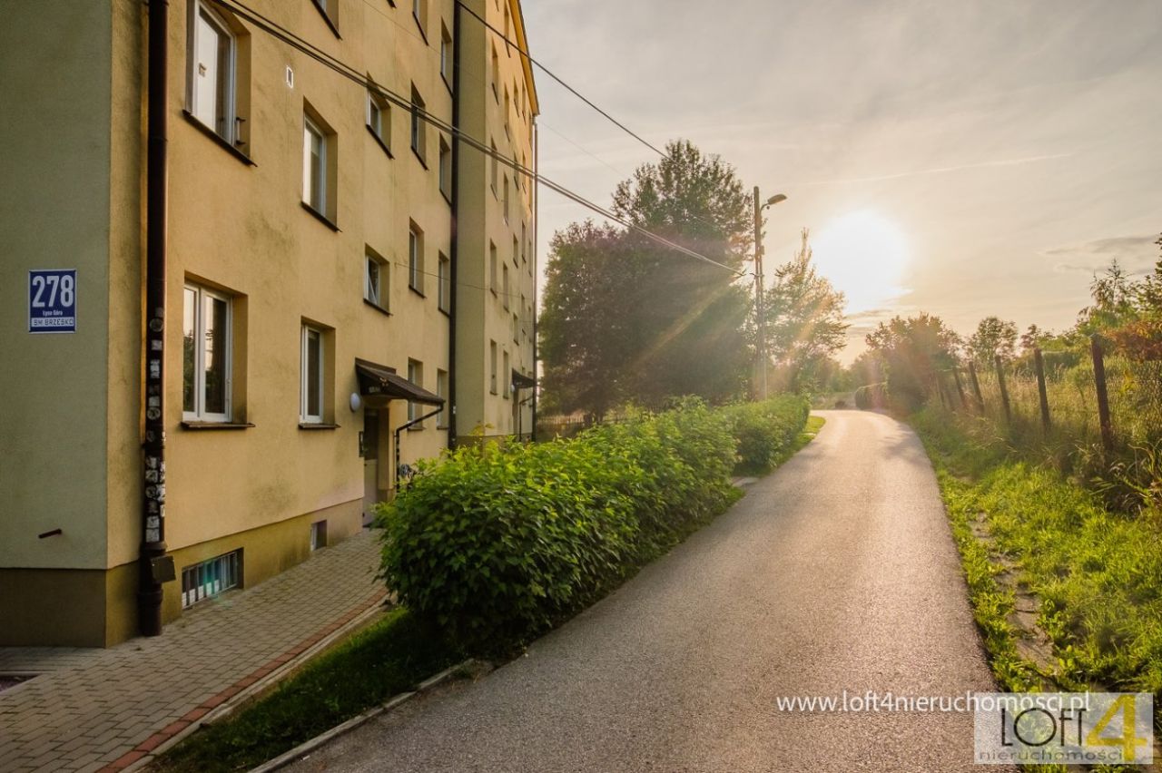 Mieszkanie 2-pokojowe Łysa Góra. Zdjęcie 14