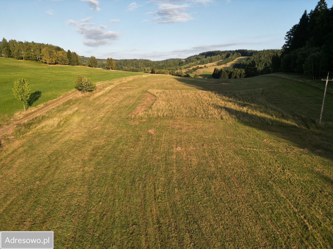 Działka budowlana Sierpnica. Zdjęcie 4