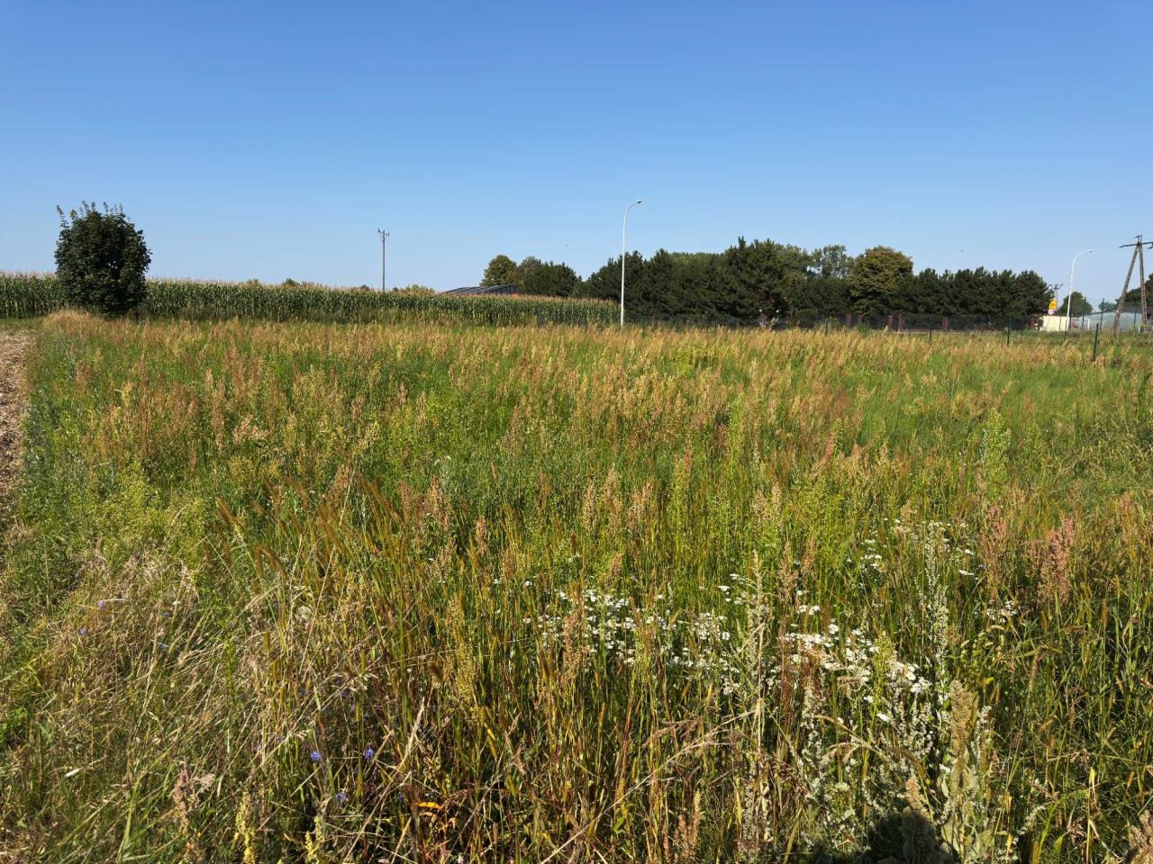 Działka budowlana Gręboszyce. Zdjęcie 2