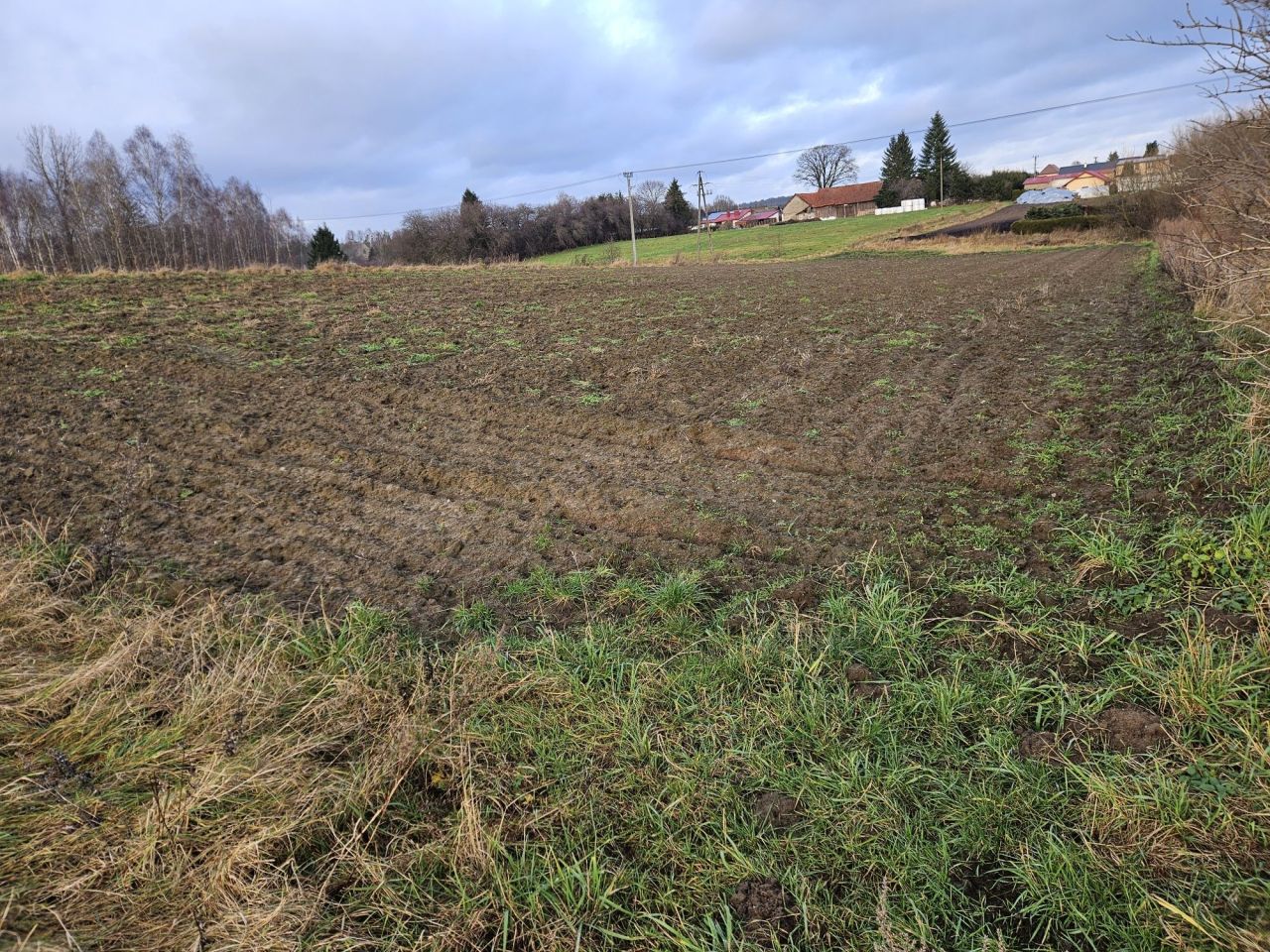 Działka budowlana Zwierzewo. Zdjęcie 2
