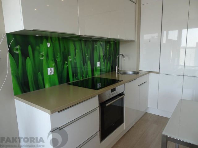 Mieszkanie 2-pokojowe Szczecin Centrum, ul. Mariana Langiewicza. Zdjęcie 4