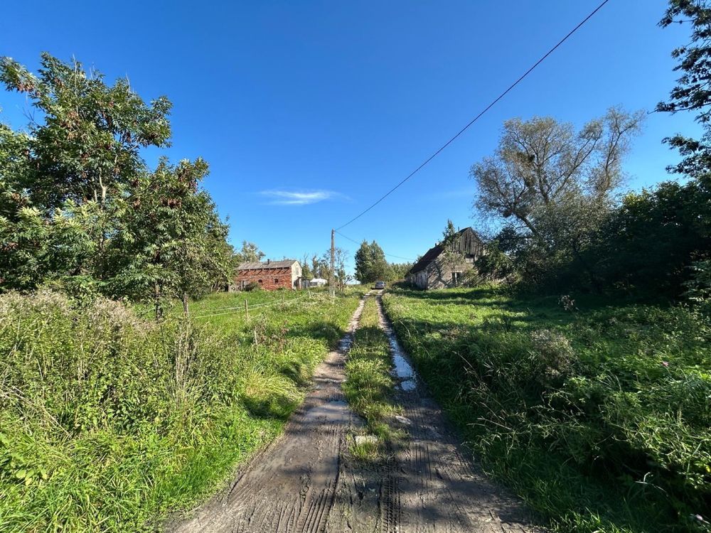 Działka rolna Jeżewo. Zdjęcie 3