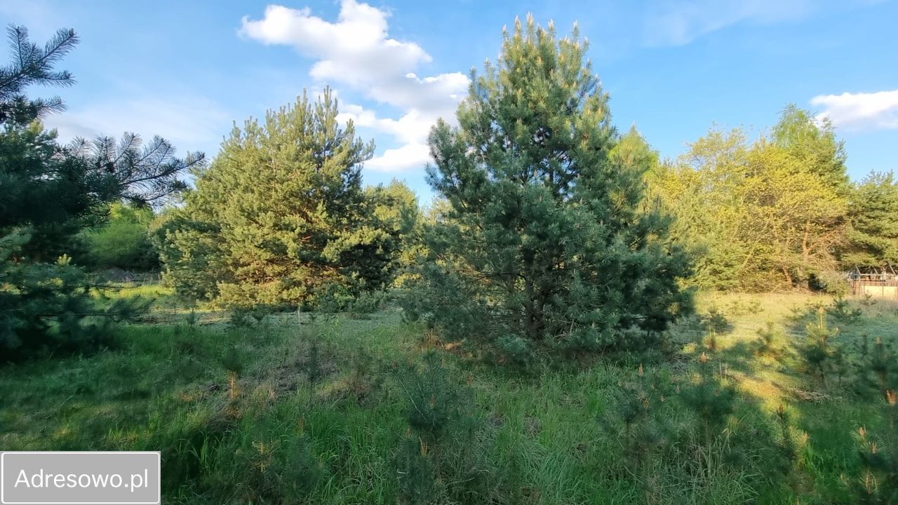 Działka budowlana Powązki, ul. Jarzębinowa. Zdjęcie 4