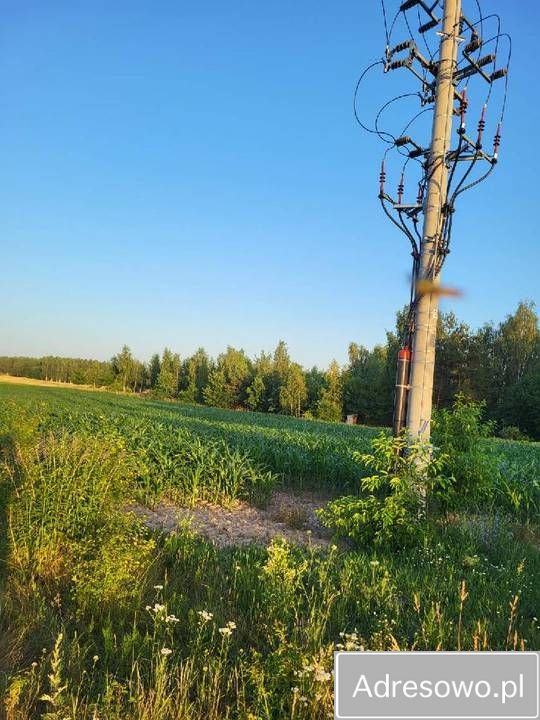Działka rolno-budowlana Krasne Kosów. Zdjęcie 3