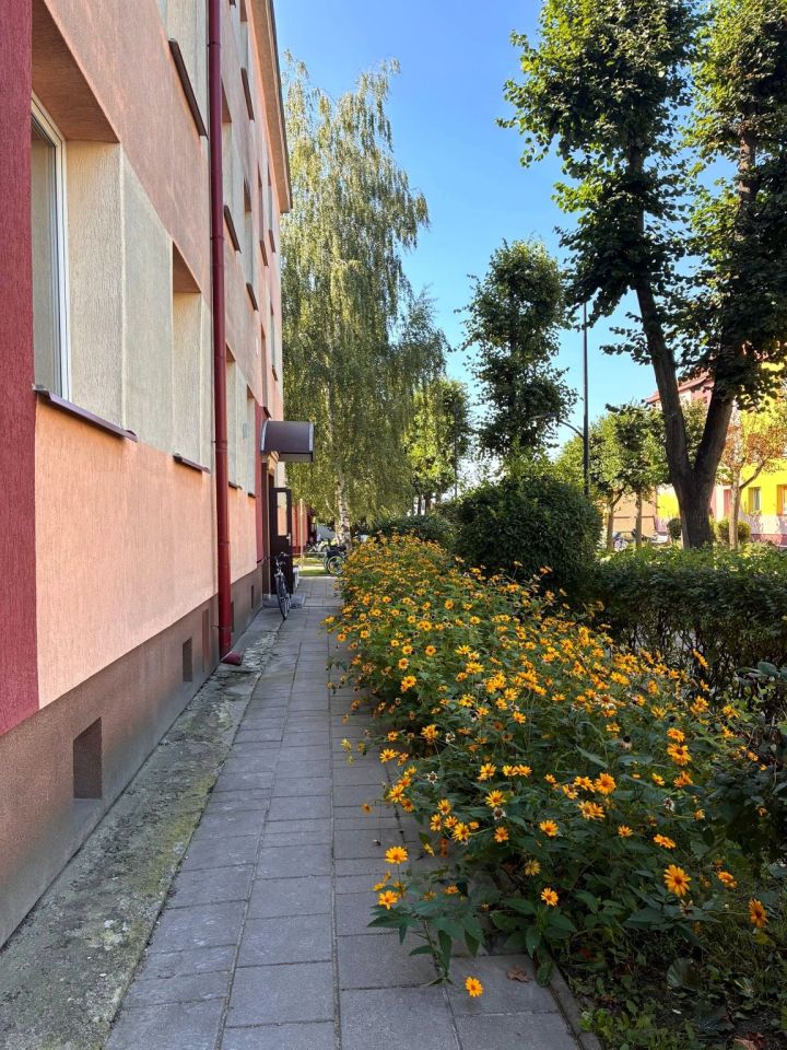 Mieszkanie 2-pokojowe Bielsk Podlaski, ul. 3 Maja. Zdjęcie 11