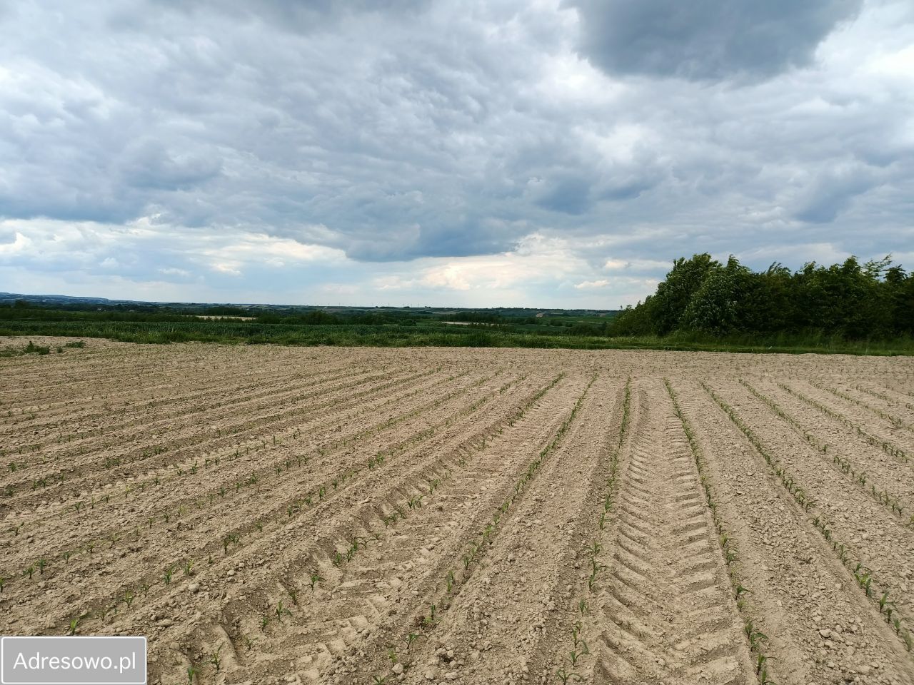 Działka budowlana Pruchnik