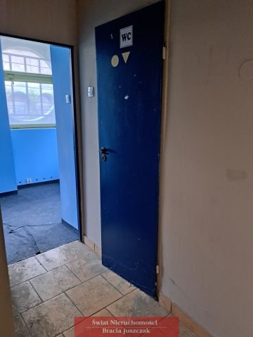 Lokal Wrocław Plac Grunwaldzki, pl. Grunwaldzki. Zdjęcie 8