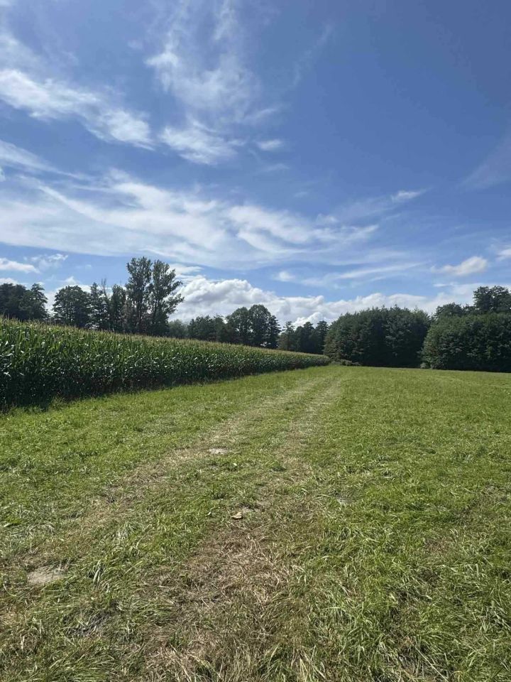 Działka rolna Michałowice. Zdjęcie 4