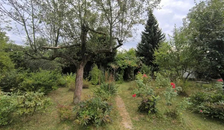 Działka rod Nowy Sącz, ul. Podmłynie