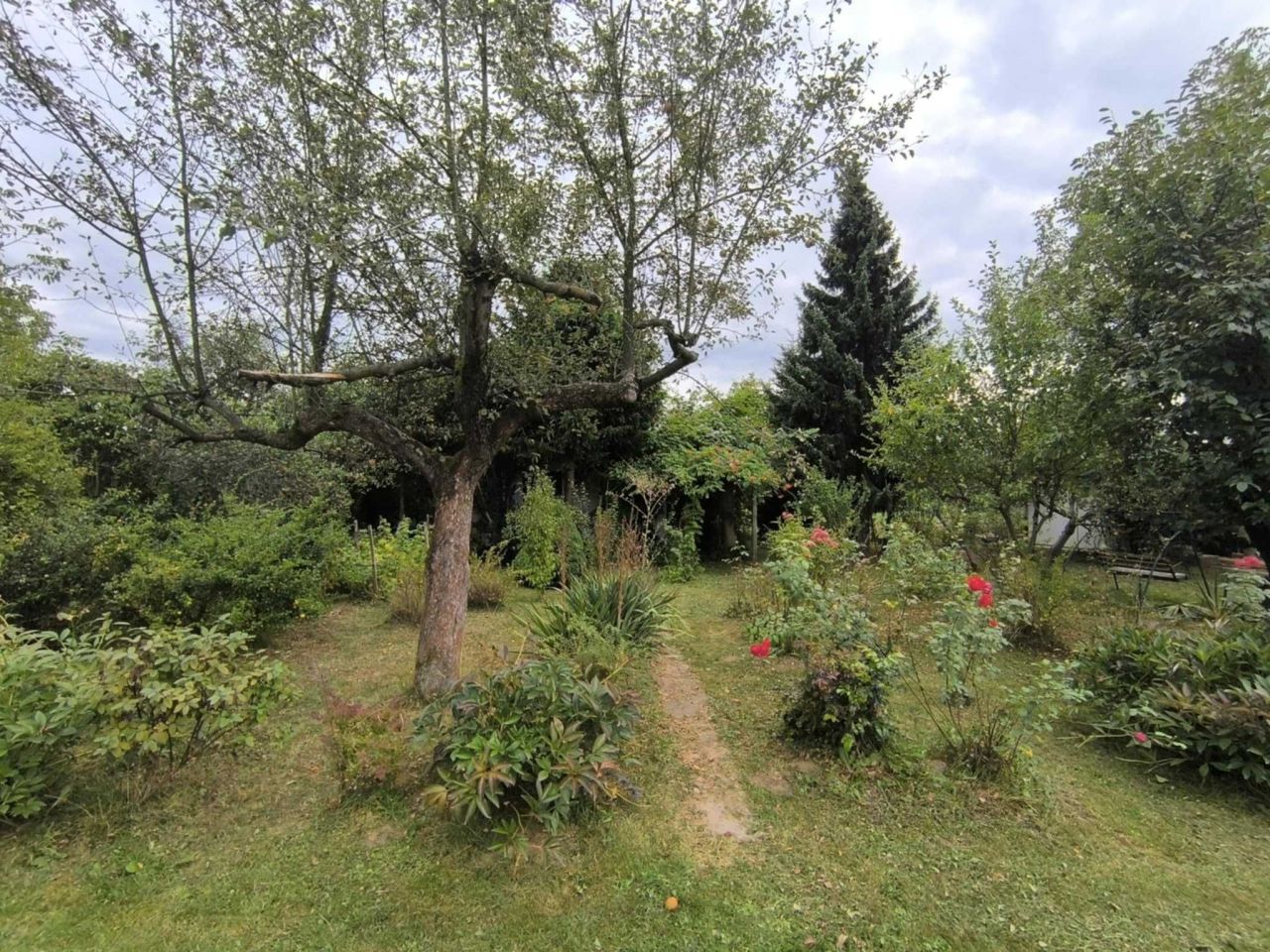 Działka rod Nowy Sącz, ul. Podmłynie