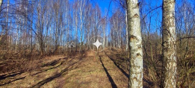 Działka budowlana Różnowo. Zdjęcie 18