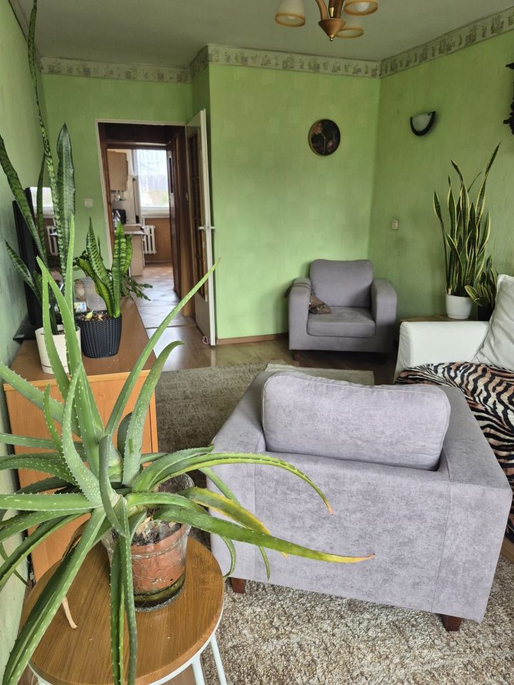 Mieszkanie 3-pokojowe Legnica. Zdjęcie 7