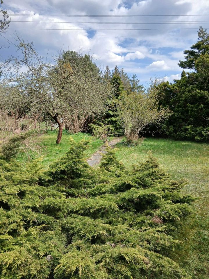 Działka rod Łódź Polesie, ul. Biegunowa. Zdjęcie 4