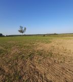 Działka rolno-budowlana Nowa Wieś Ostródzka. Zdjęcie 2