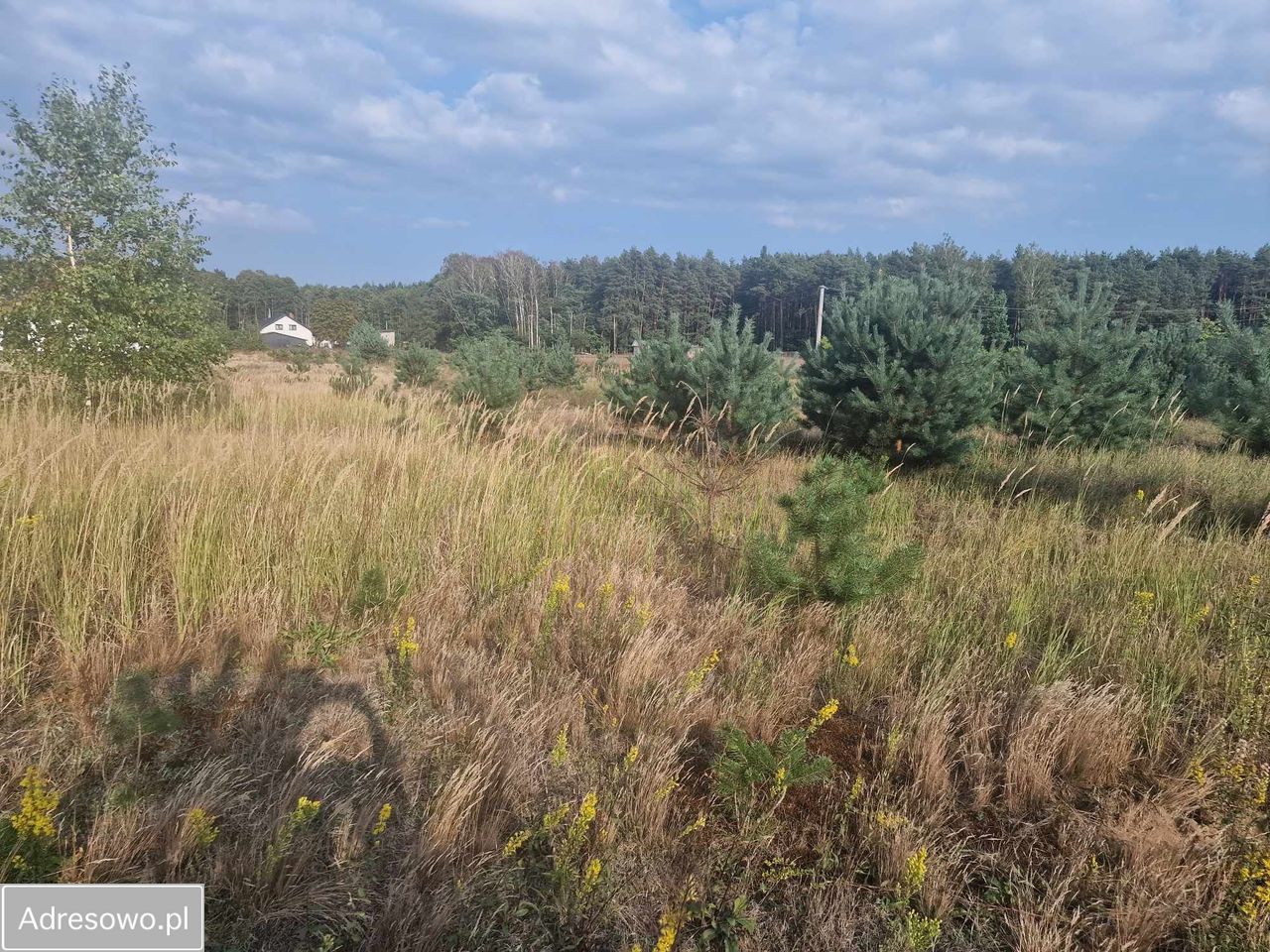 Działka budowlana Krzyżówka, ul. Zarzeczna. Zdjęcie 6