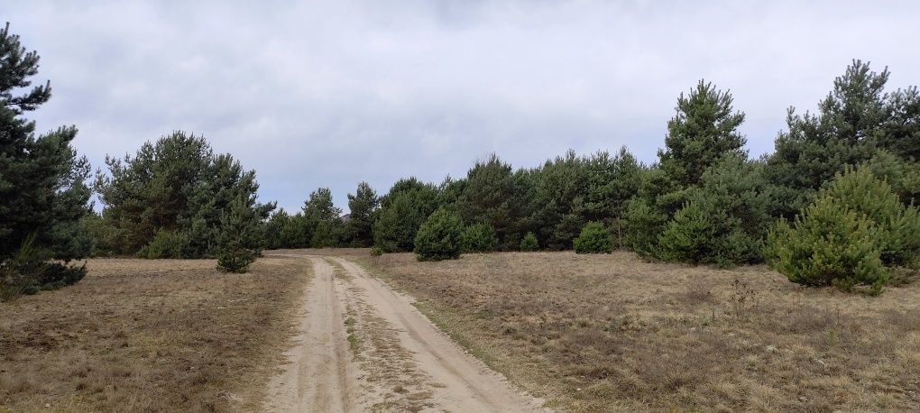 Działka budowlana Zielona Góra, ul. Ochla-Pustynna. Zdjęcie 6