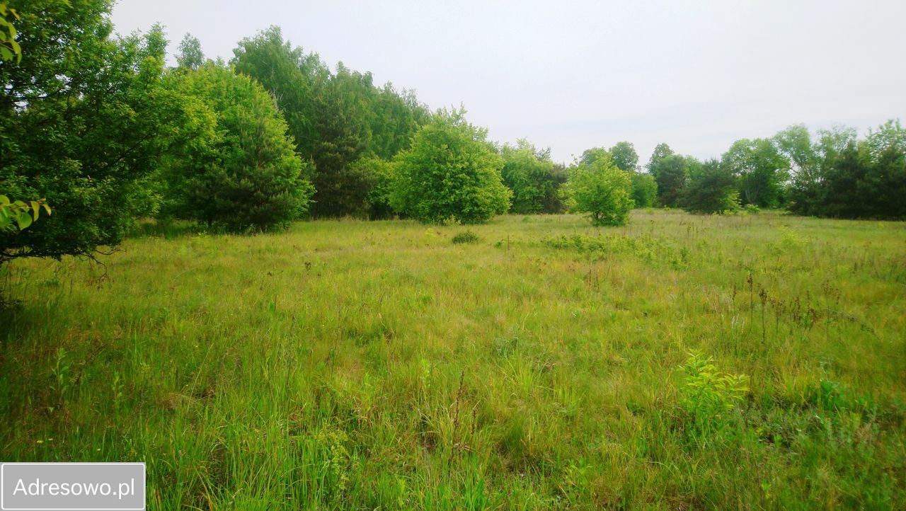 Działka budowlana Popielżyn-Zawady. Zdjęcie 7