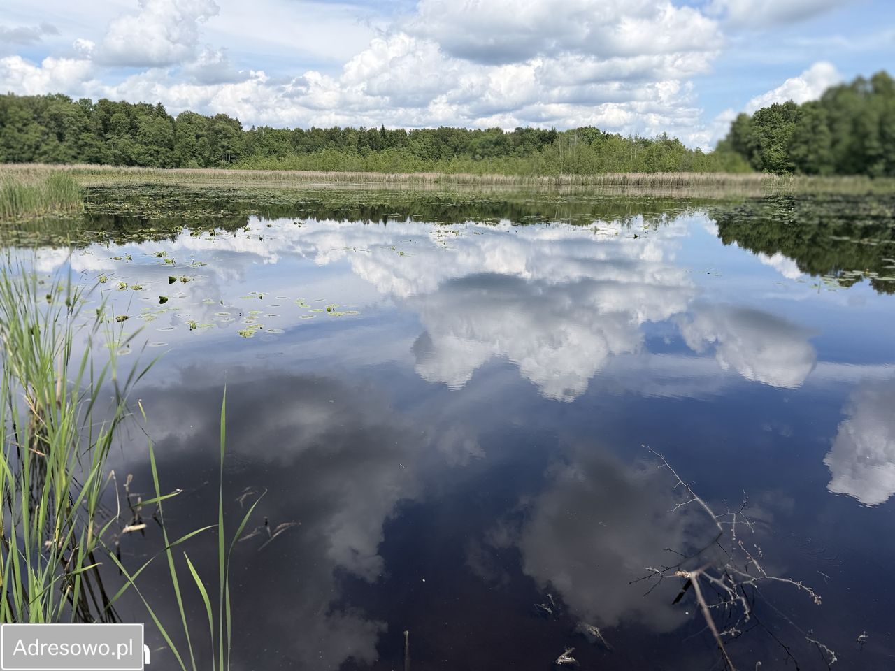 Działka rekreacyjna Waliszewo. Zdjęcie 6