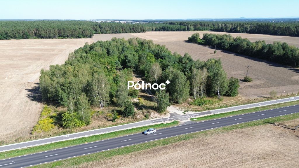 Działka inwestycyjna Dąbrowa Bolesławiecka. Zdjęcie 9