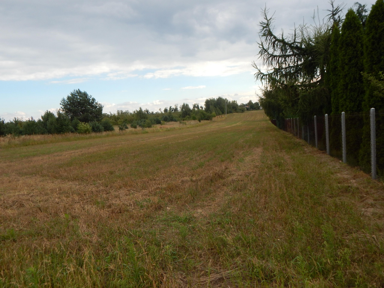 Działka rolno-budowlana Brzóza Parcela, ul. Parcela. Zdjęcie 9